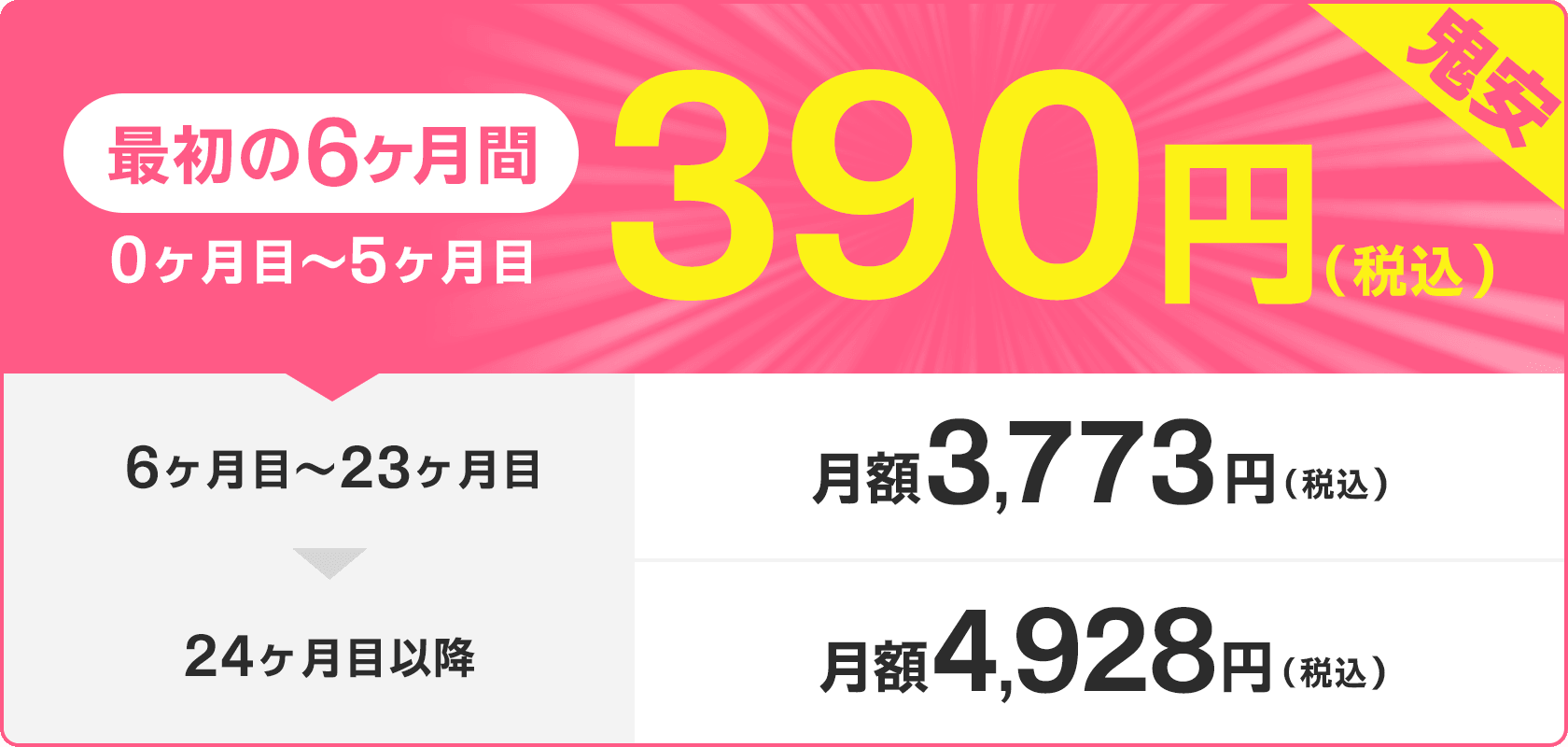 最初の6ヶ月間 390円(税込)
