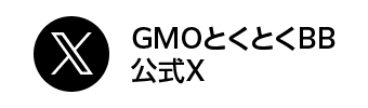 公式X