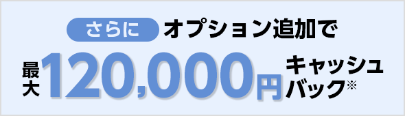 さらにオプション追加でキャッシュバック※