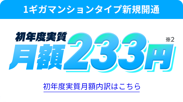 1ギガタイプ新規開通　初年度実質月額233円※2　初年度実質月額内訳はこちら