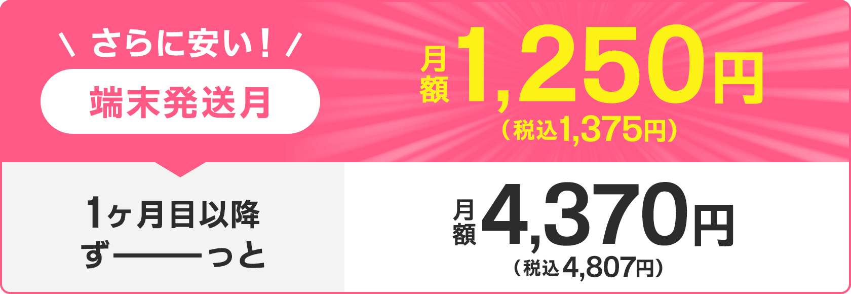 端末発送月 1,375円/月(税込) 1か月目以降ずーっと4,807円/月(税込)