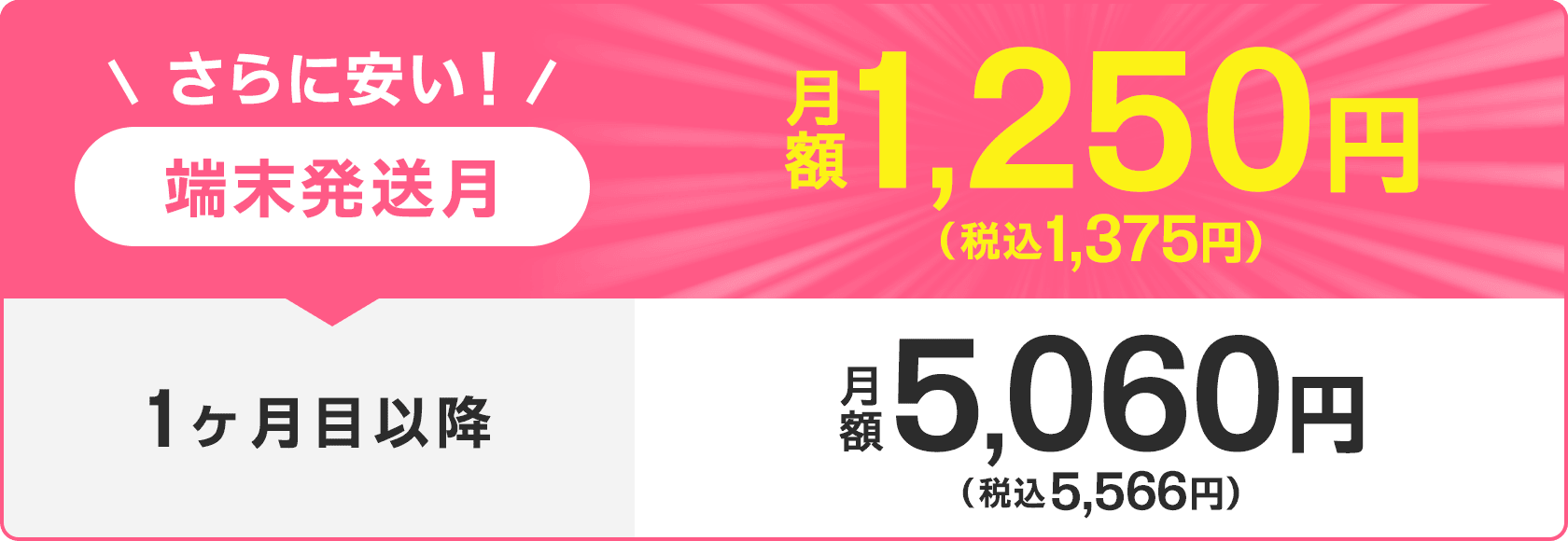 端末発送月 月額1,250円(税込1,375円) 1ヶ月目以降月額5,060円(税込5,566円)