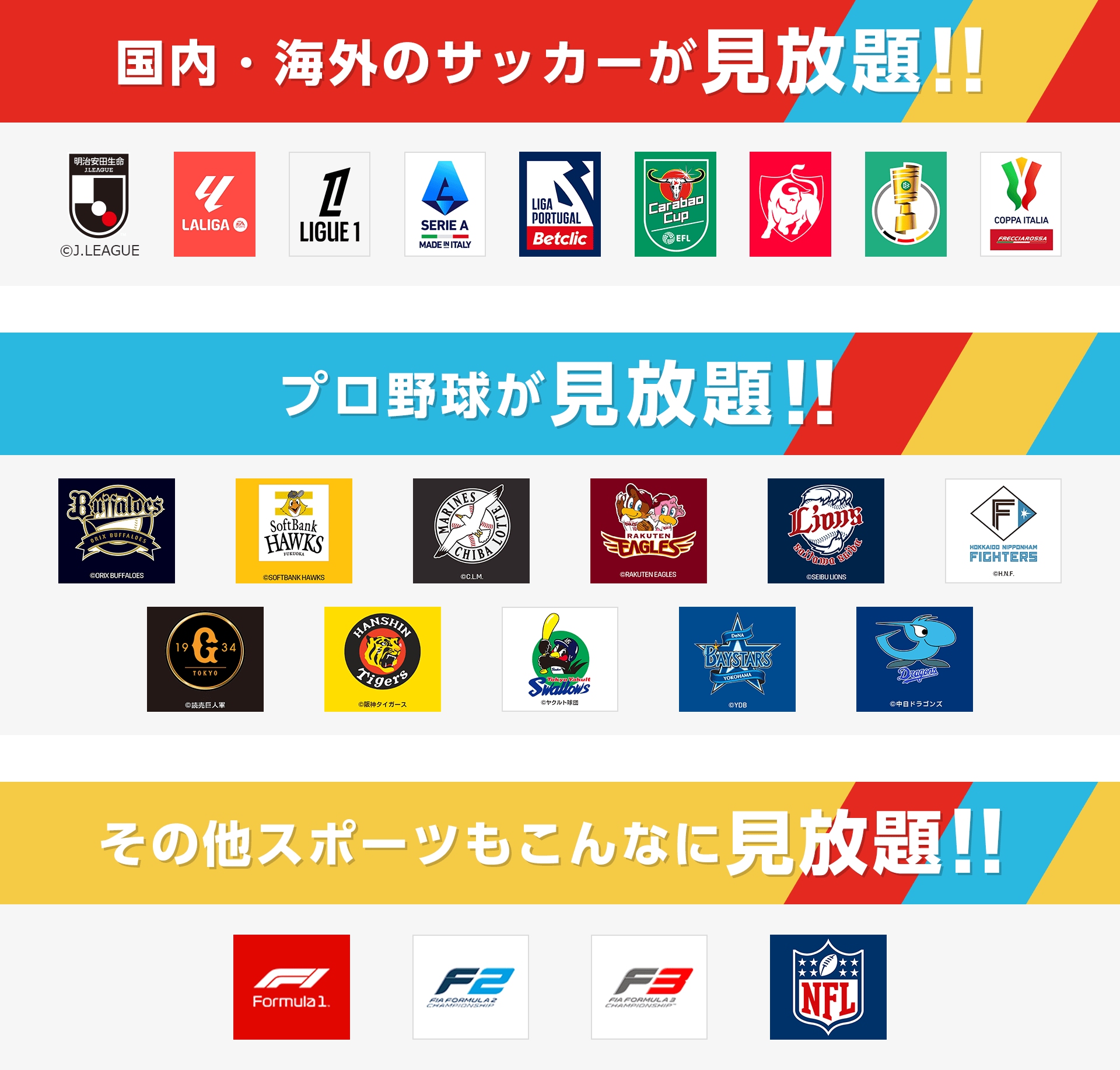国内・海外のサッカーが見放題!! プロ野球が見放題!! その他スポーツもこんなに見放題!!