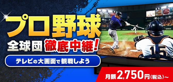 プロ野球全球団徹底中継！テレビの大画面で観戦しよう　視聴方法を見る