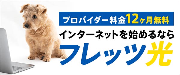 【プロバイダー料金12ヶ月無料】インターネットを始めるならフレッツ光