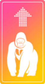 ページトップへ