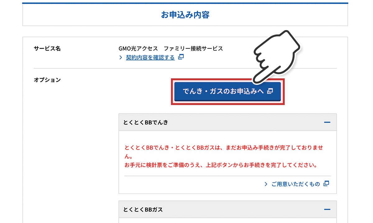 とくとくBB光申込完了ページ内のオプション項目