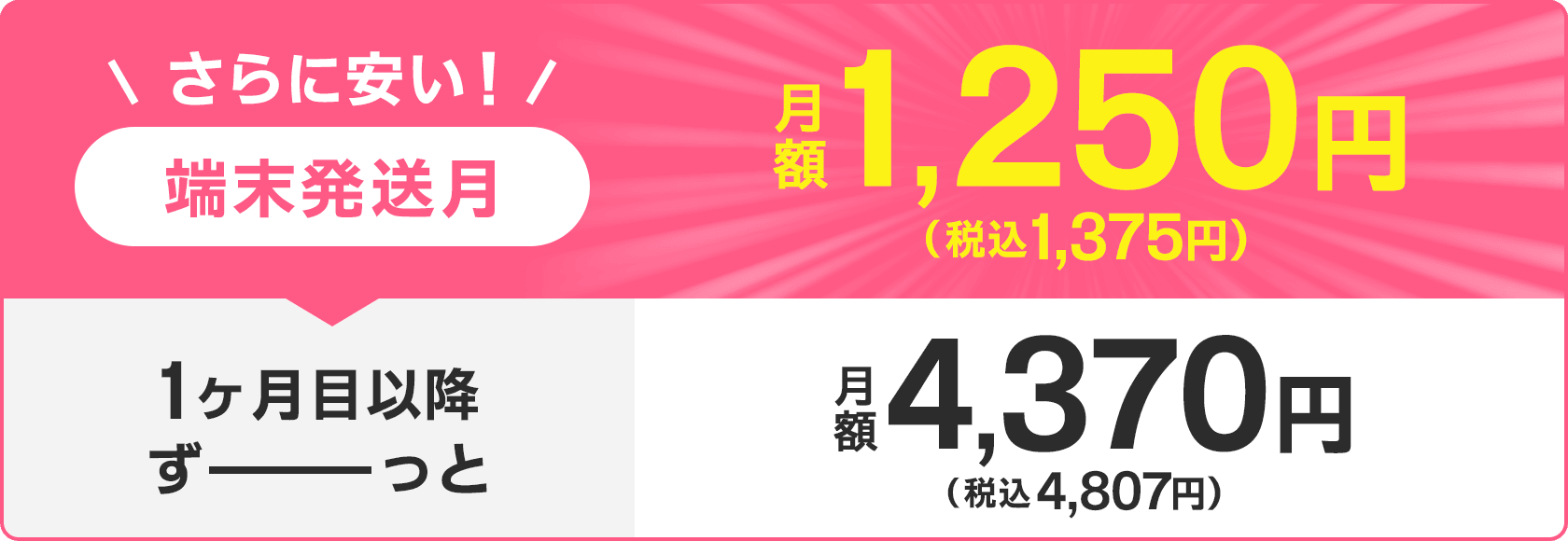 端末発送月は月額1,375円/月(税込) 1ヶ月目以降ずーっと4,370円/月(税込)